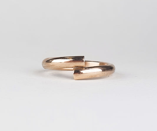 'Carpe Diem' or 'F@#& the Eternity' Gold Ring