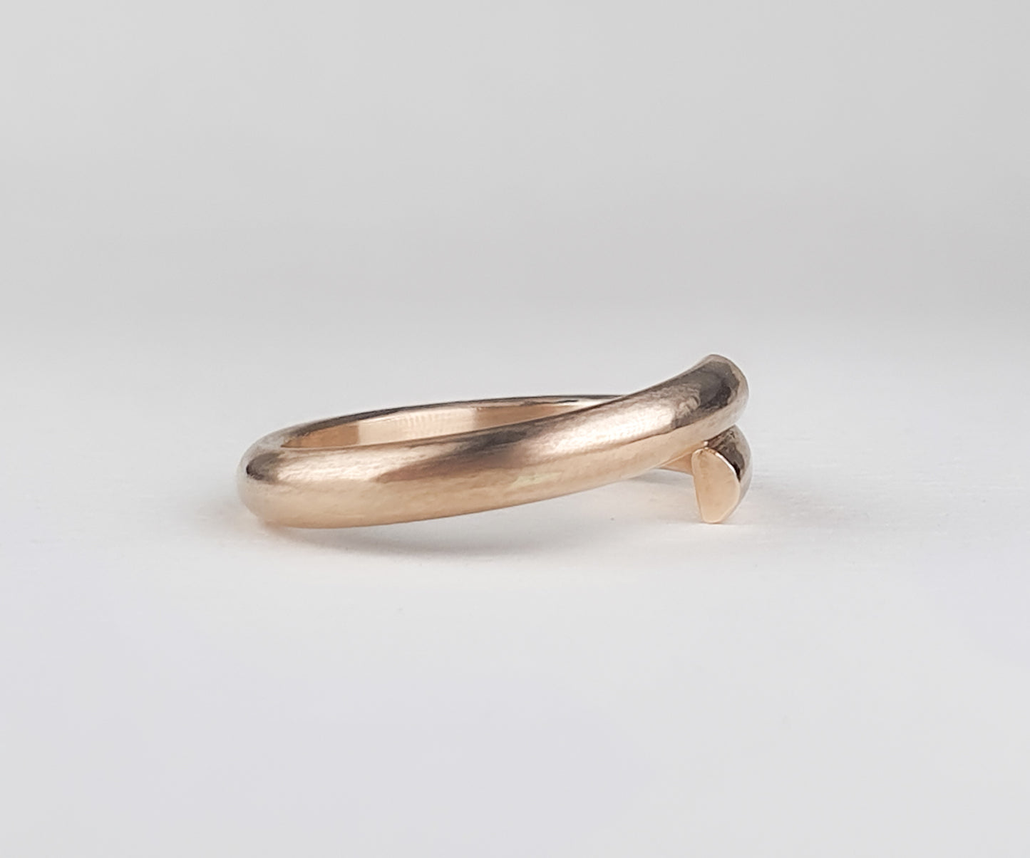 'Carpe Diem' or 'F@#& the Eternity' Gold Ring