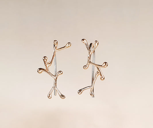 Splash Climber Earrings in Gold